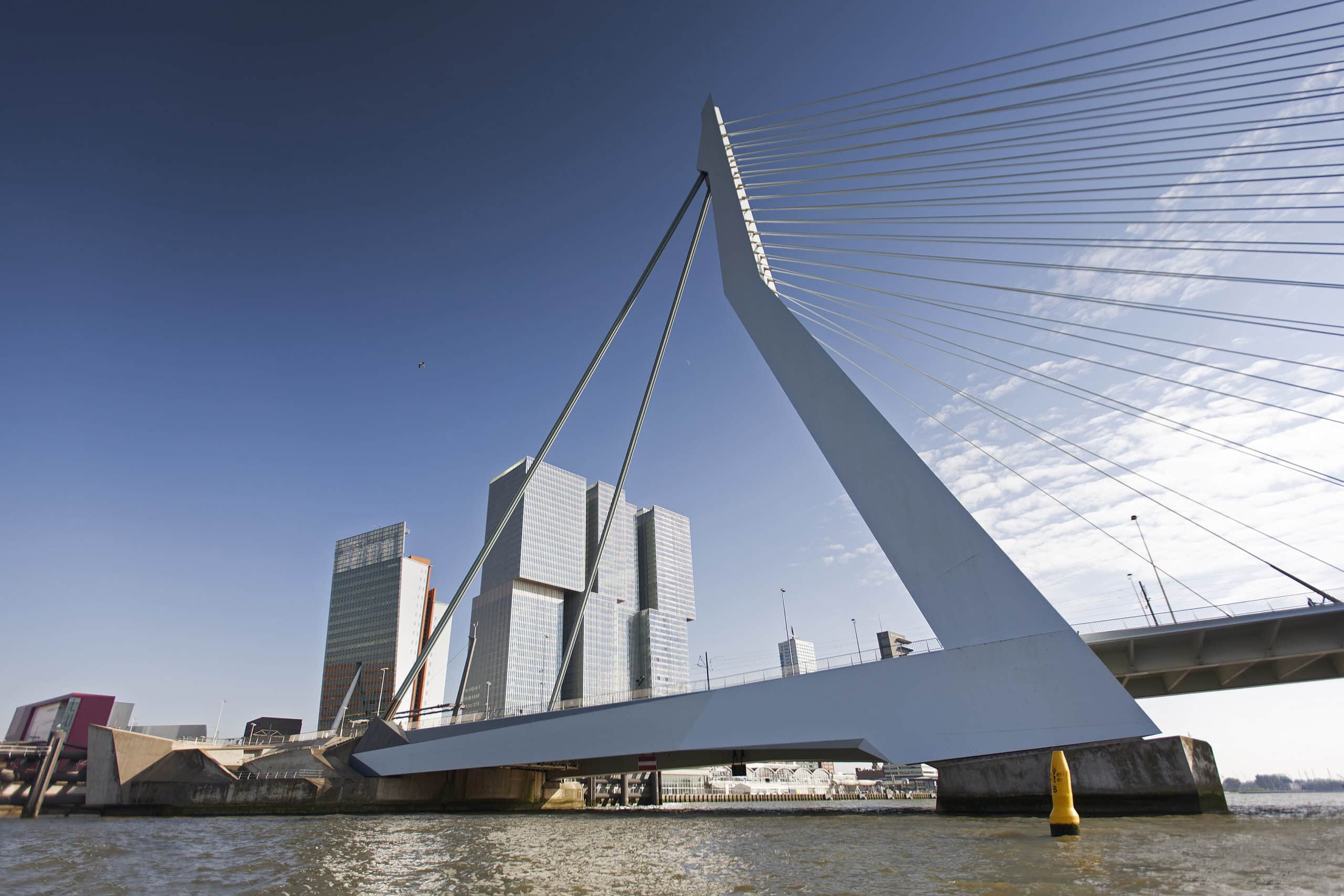 Erasmusburg Bridge Rotterdam